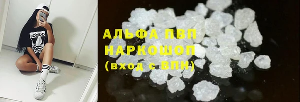 PSILOCYBIN Белая Холуница