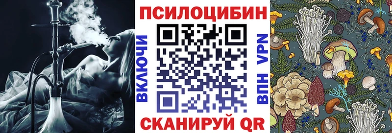 площадка как зайти  Краснообск  Псилоцибиновые грибы прущие грибы  даркнет сайт  блэк спрут сайт 